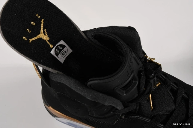 Retro CT4954-007 (2020) Jordan 6 Air DMP 0709